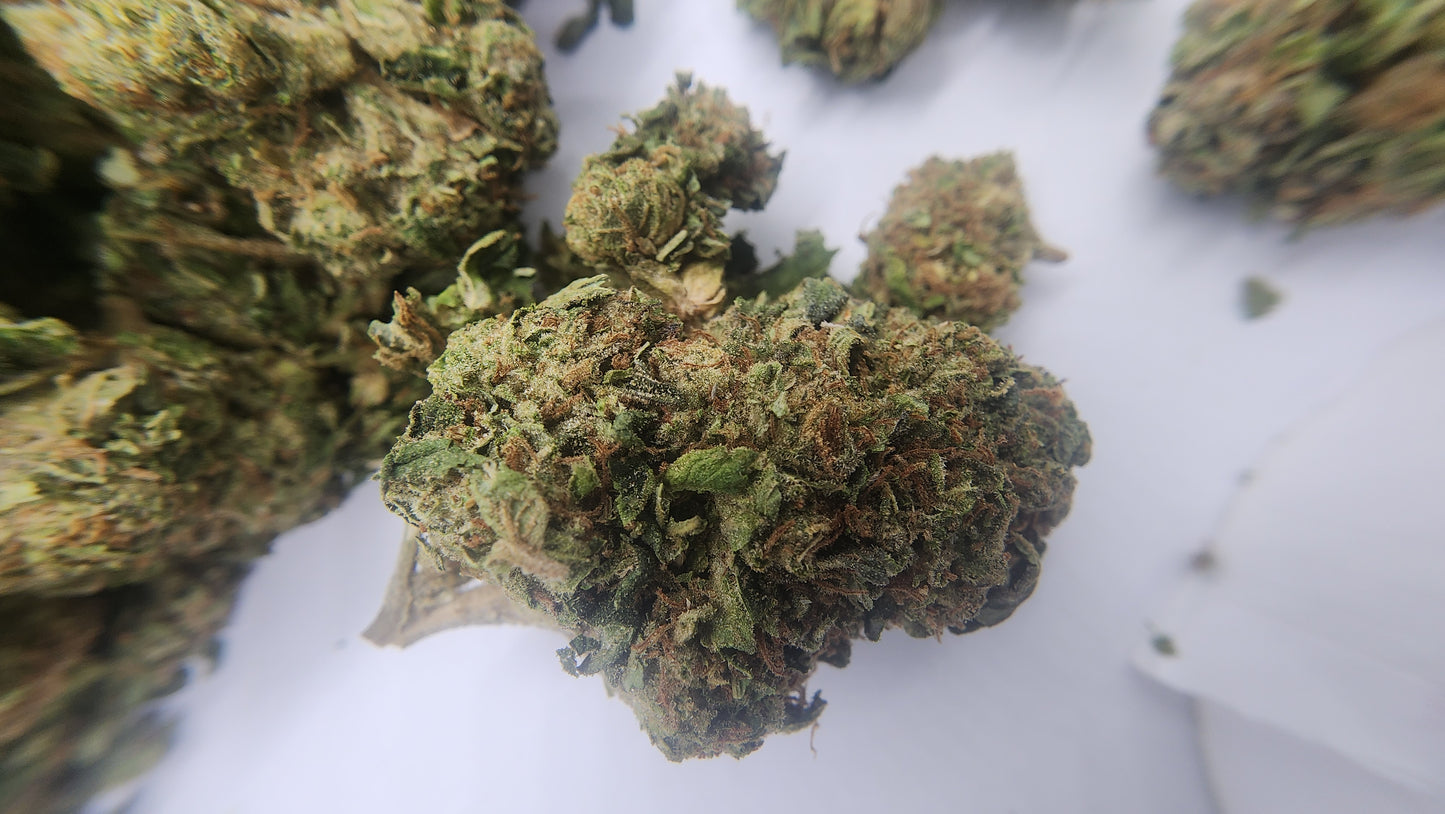26.64% THCA OG-85