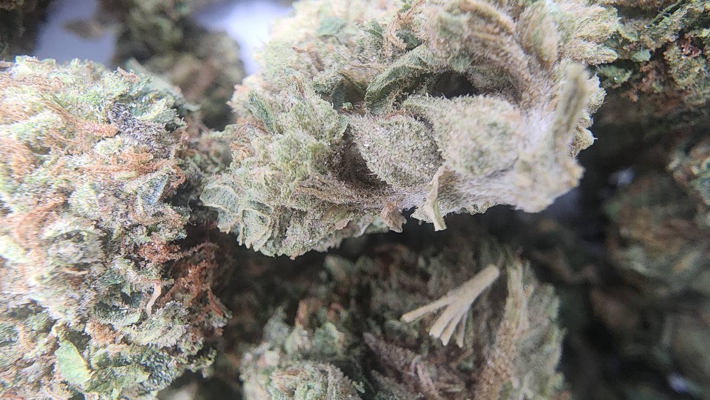 26.64% THCA OG-85