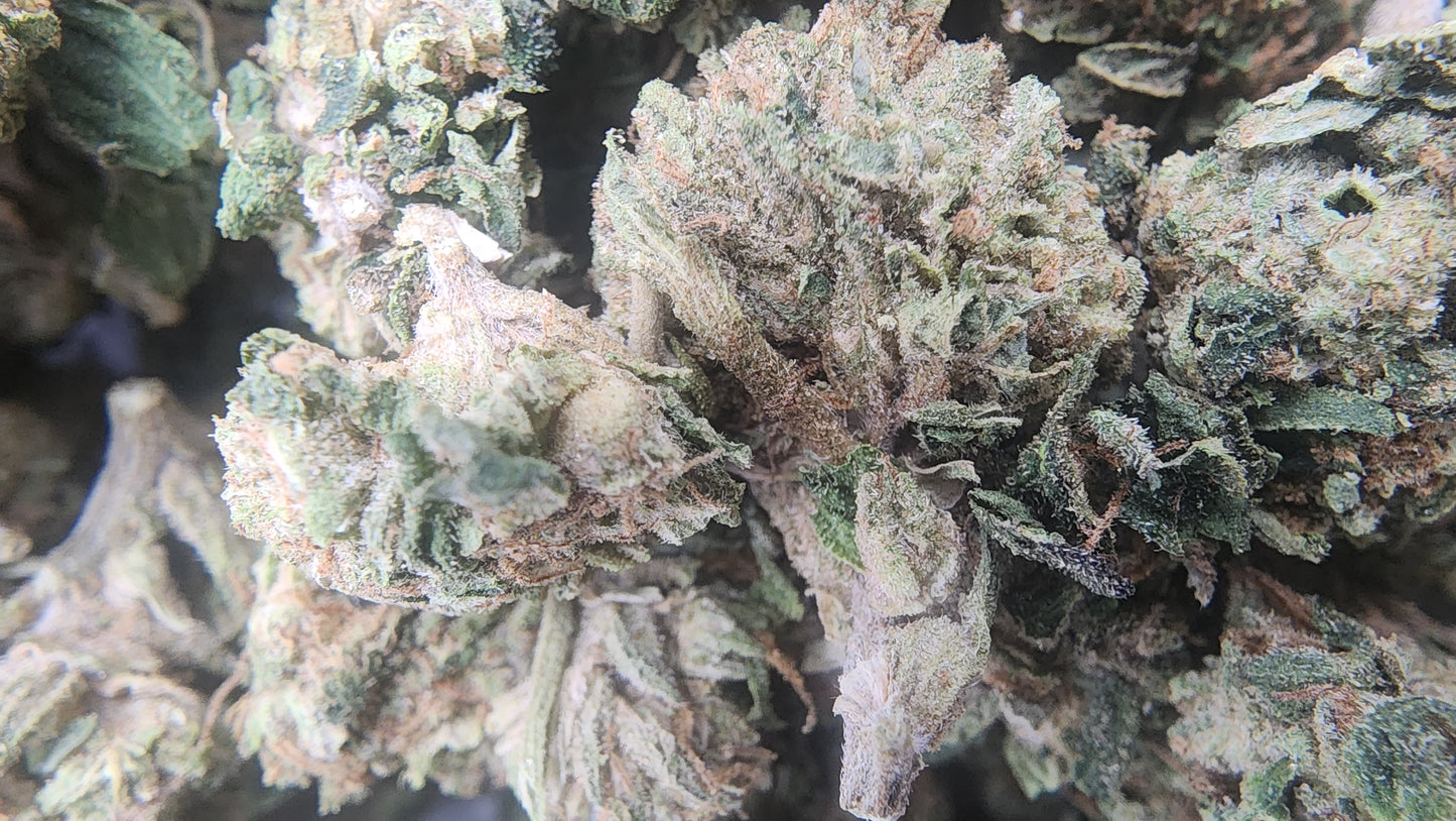 26.64% THCA OG-85