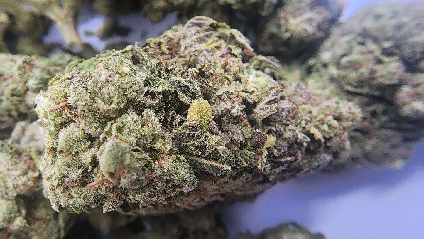 29.57% THCA Hashburger Smalls