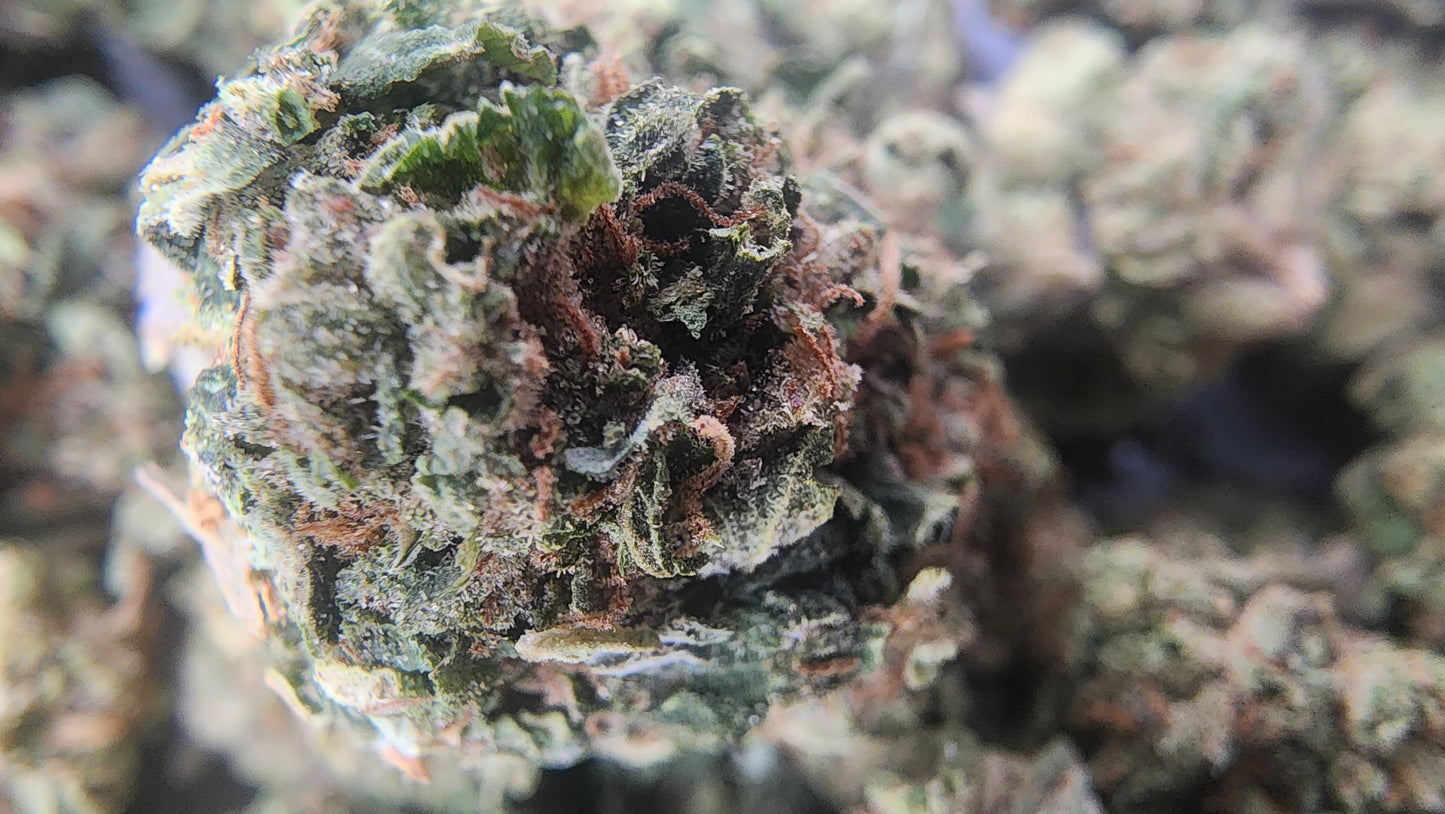 26.64% THCA OG-85