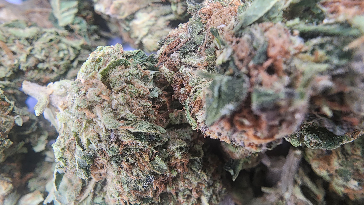 26.64% THCA OG-85